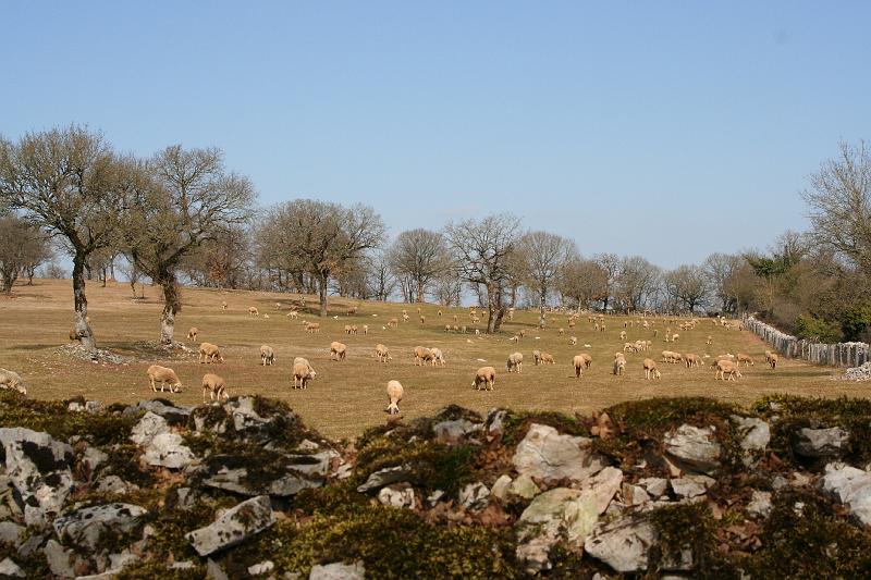 2008_02_24_ARTHUR_3MOIS__0031.JPG
