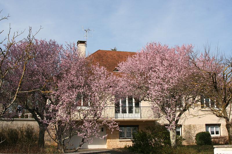 2008_02_24_ARTHUR_3MOIS__0034.JPG