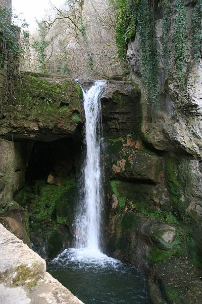 IMG_5030.JPG