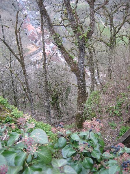 IMG_2434.jpg