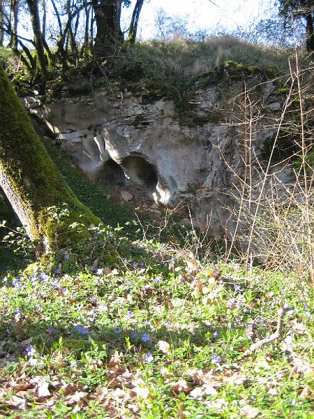 IMG_2469.jpg