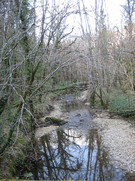 IMG_2471.jpg