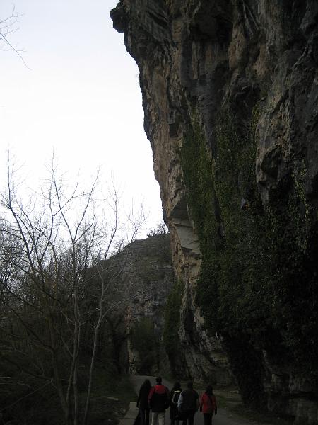 IMG_2519.jpg