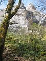 IMG_2475