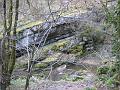IMG_2487
