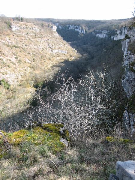 IMG_2468.jpg
