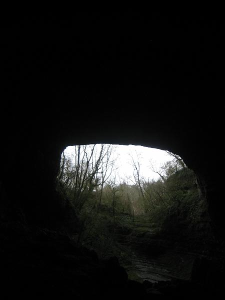 IMG_2528.jpg
