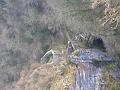 DSCN1866