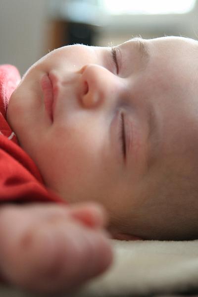 2008_03_24_paques__0160.JPG