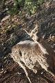2008_04_05_avril__0037