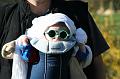 2008_04_05_avril__0042