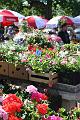 2008_05_02au15_Croatie__0066