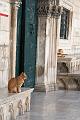 2008_05_02au15_Croatie__0226