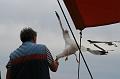 2008_05_02au15_Croatie__0573