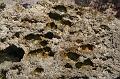 2008_05_02au15_Croatie__0978