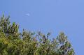 2008_05_02au15_Croatie__0988