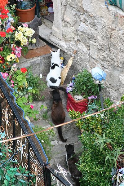 2008_05_02au15_Croatie__1281.JPG