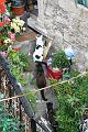 2008_05_02au15_Croatie__1281