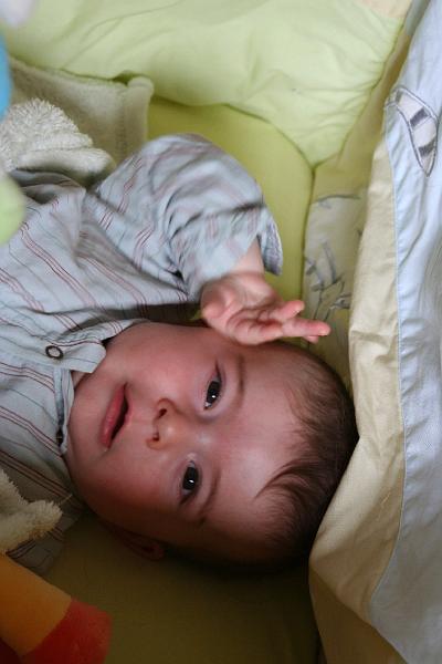 2008_06_08_Anita_Zina_Delphine_0165.JPG