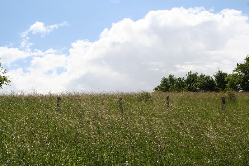 2008_06_08_Anita_Zina_Delphine_0176.JPG