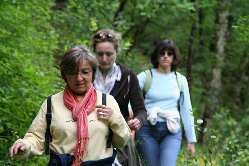 2008_06_08_Anita_Zina_Delphine_0202.JPG