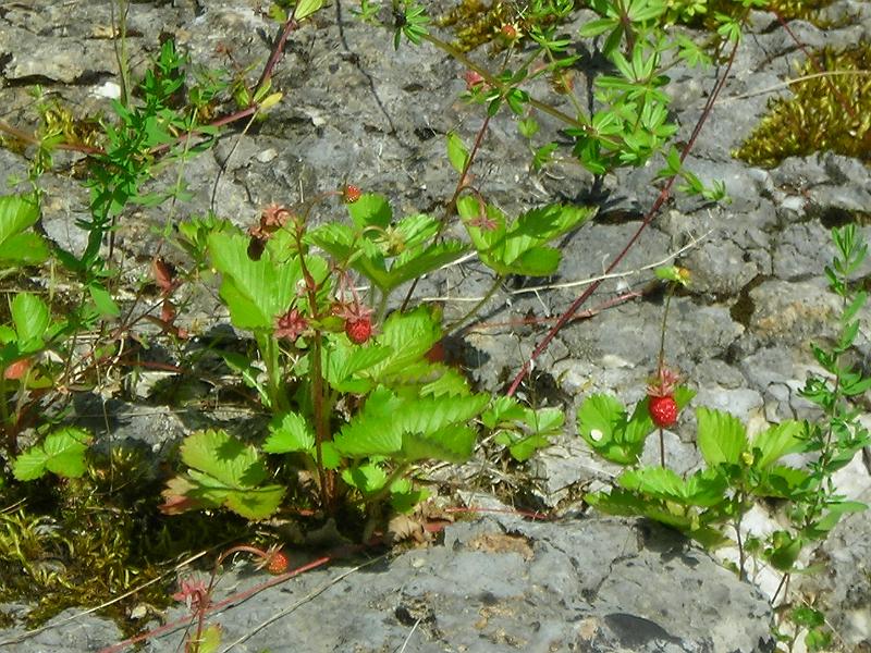 2008_06_08__0021.JPG