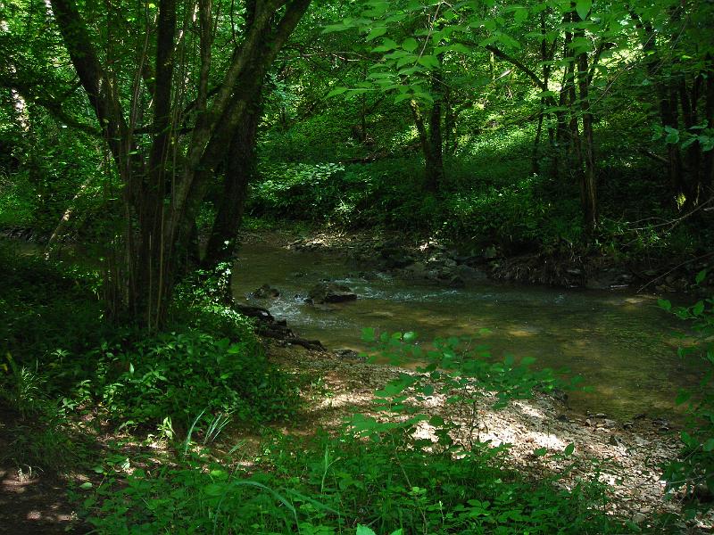 2008_06_08__0035.JPG