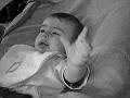 2008_06_08__0003
