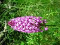 2008_06_08__0015