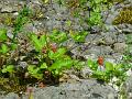 2008_06_08__0021