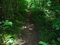 2008_06_08__0034