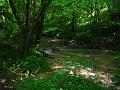 2008_06_08__0035