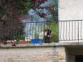 2008_06_08__0045