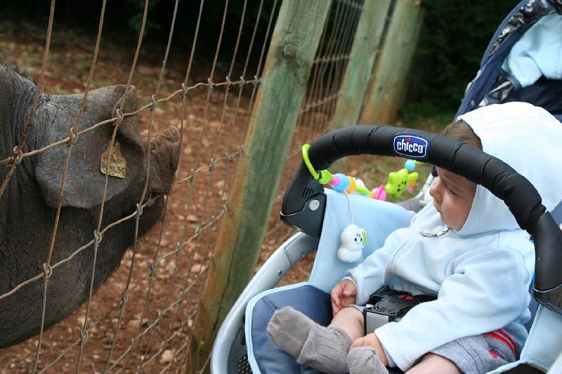 2008_07_13_parc_animalier__0069.JPG