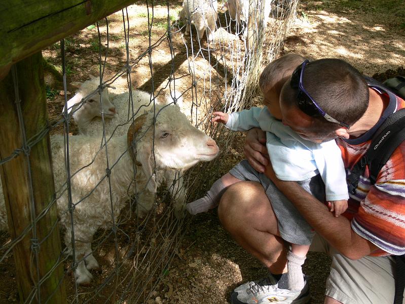 2008_07_13_parc_animalier__0266.JPG
