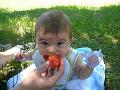 2008_06_29_rando_padirac__0227
