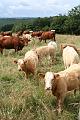 2008_07_12_lamativie_rando__0040