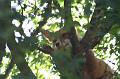 2008_07_13_parc_animalier__0022