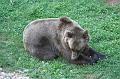 2008_07_13_parc_animalier__0025