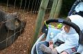 2008_07_13_parc_animalier__0069