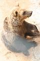 2008_07_13_parc_animalier__0171