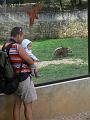 2008_07_13_parc_animalier__0248