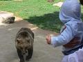 2008_07_13_parc_animalier__0256