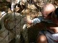 2008_07_13_parc_animalier__0264