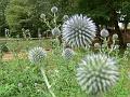 2008_07_13_parc_animalier__0368