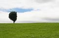 2008_08_02_Clermont__0021