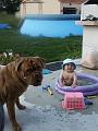 PICT0099