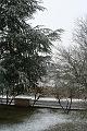 2008_12_12_Arthur__0130