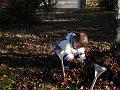 2008_12_12_Arthur__0197