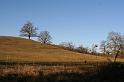 2008_12_25_noel__0031